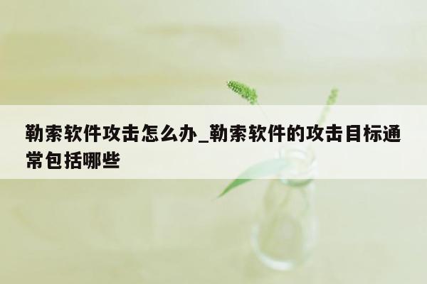 勒索软件攻击怎么办_勒索软件的攻击目标通常包括哪些