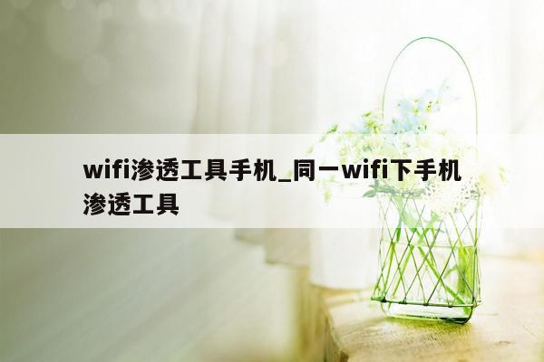 wifi渗透工具手机_同一wifi下手机渗透工具