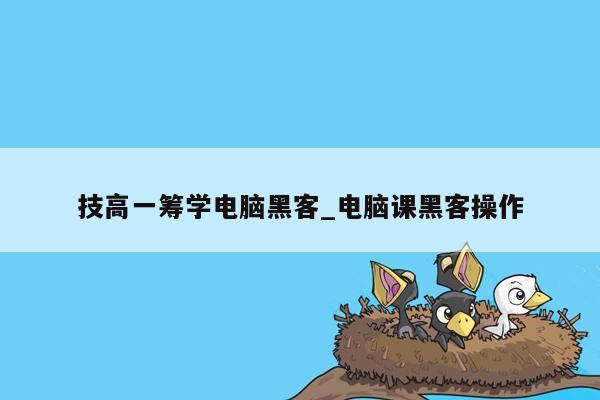 技高一筹学电脑黑客_电脑课黑客操作