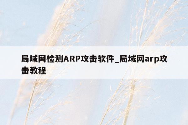 局域网检测ARP攻击软件_局域网arp攻击教程