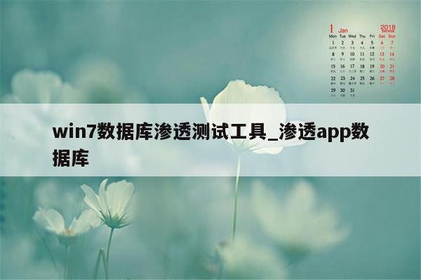 win7数据库渗透测试工具_渗透app数据库