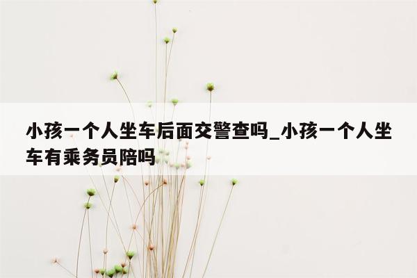 小孩一个人坐车后面交警查吗_小孩一个人坐车有乘务员陪吗