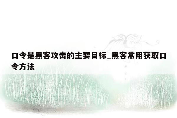 口令是黑客攻击的主要目标_黑客常用获取口令方法