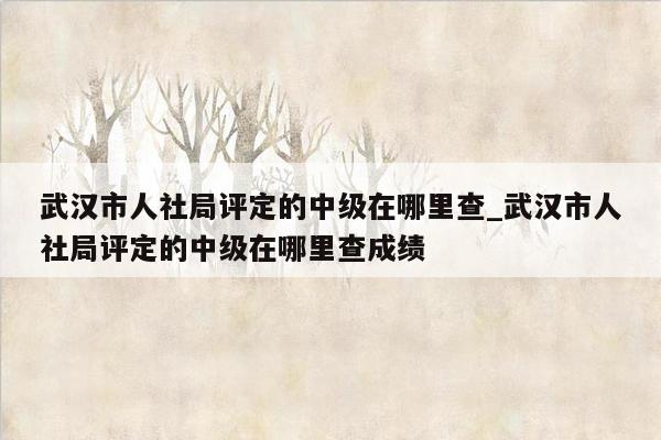 武汉市人社局评定的中级在哪里查_武汉市人社局评定的中级在哪里查成绩