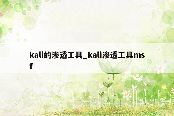 kali的渗透工具_kali渗透工具msf