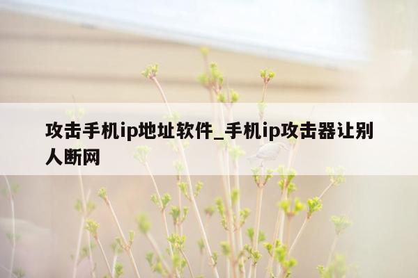 攻击手机ip地址软件_手机ip攻击器让别人断网