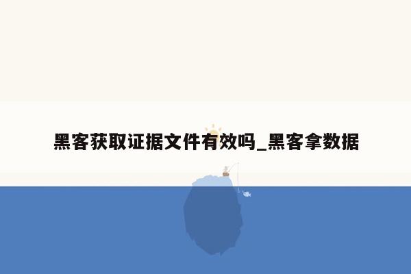 黑客获取证据文件有效吗_黑客拿数据