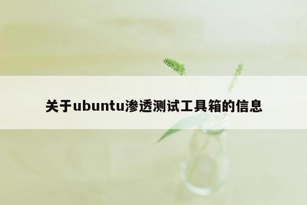 关于ubuntu渗透测试工具箱的信息