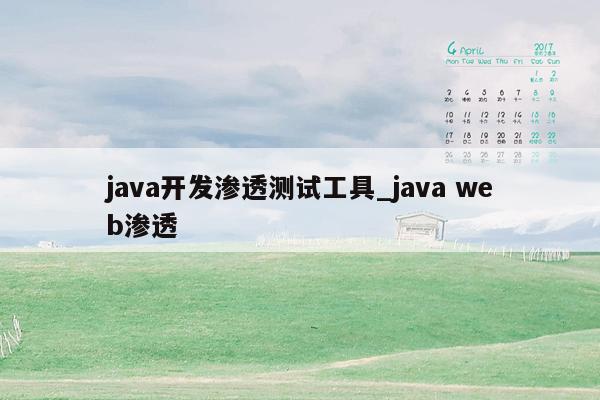 java开发渗透测试工具_java web渗透