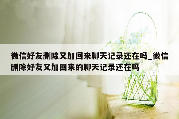 微信好友删除又加回来聊天记录还在吗_微信删除好友又加回来的聊天记录还在吗