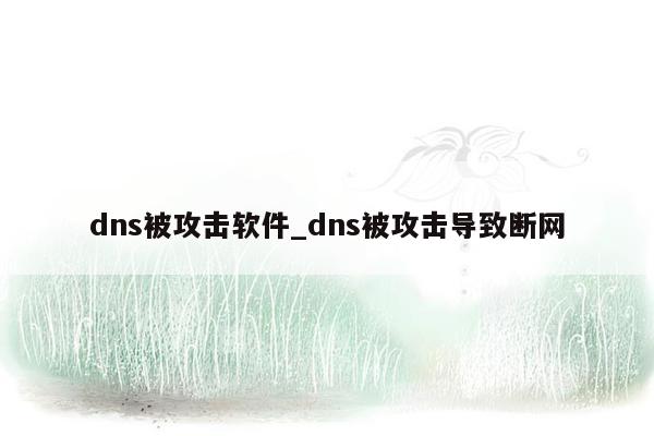 dns被攻击软件_dns被攻击导致断网