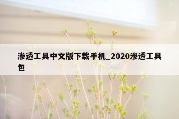 渗透工具中文版下载手机_2020渗透工具包