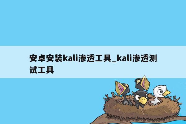 安卓安装kali渗透工具_kali渗透测试工具