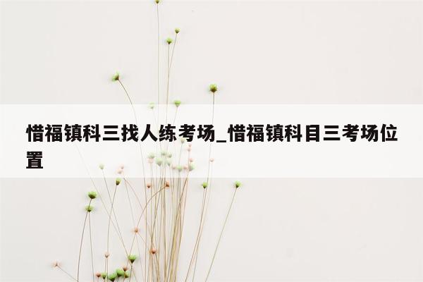 惜福镇科三找人练考场_惜福镇科目三考场位置