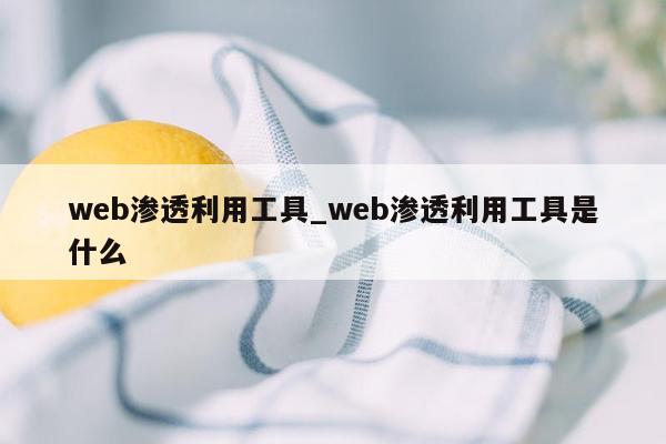 web渗透利用工具_web渗透利用工具是什么