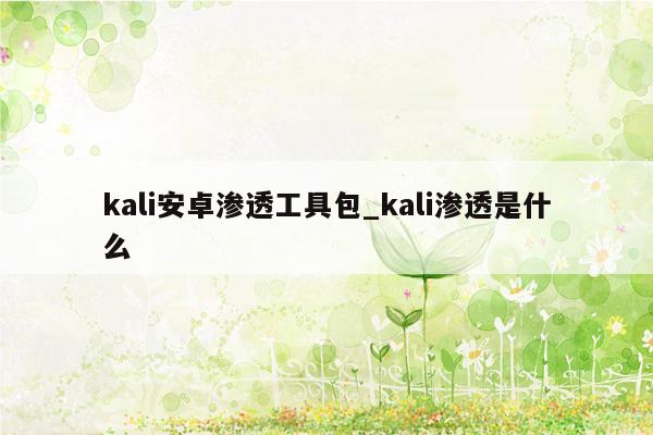 kali安卓渗透工具包_kali渗透是什么