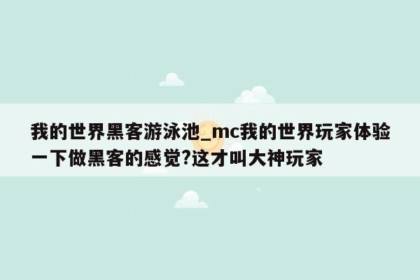 我的世界黑客游泳池_mc我的世界玩家体验一下做黑客的感觉?这才叫大神玩家