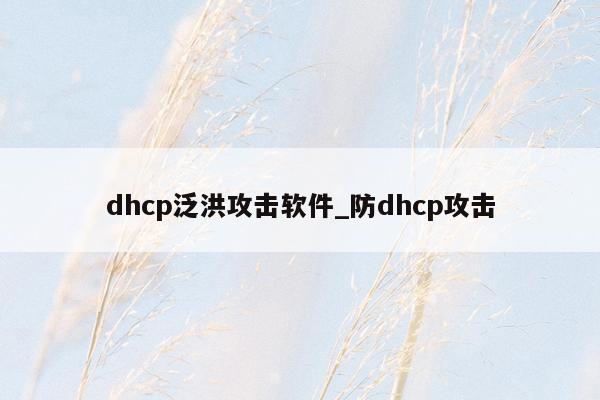 dhcp泛洪攻击软件_防dhcp攻击