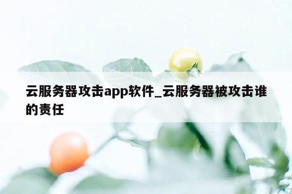 云服务器攻击app软件_云服务器被攻击谁的责任