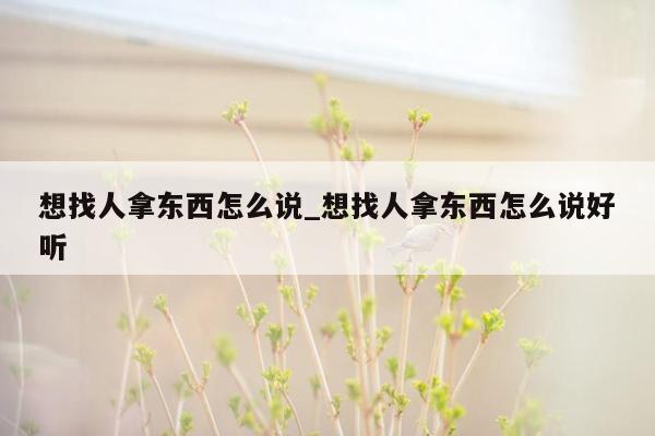 想找人拿东西怎么说_想找人拿东西怎么说好听